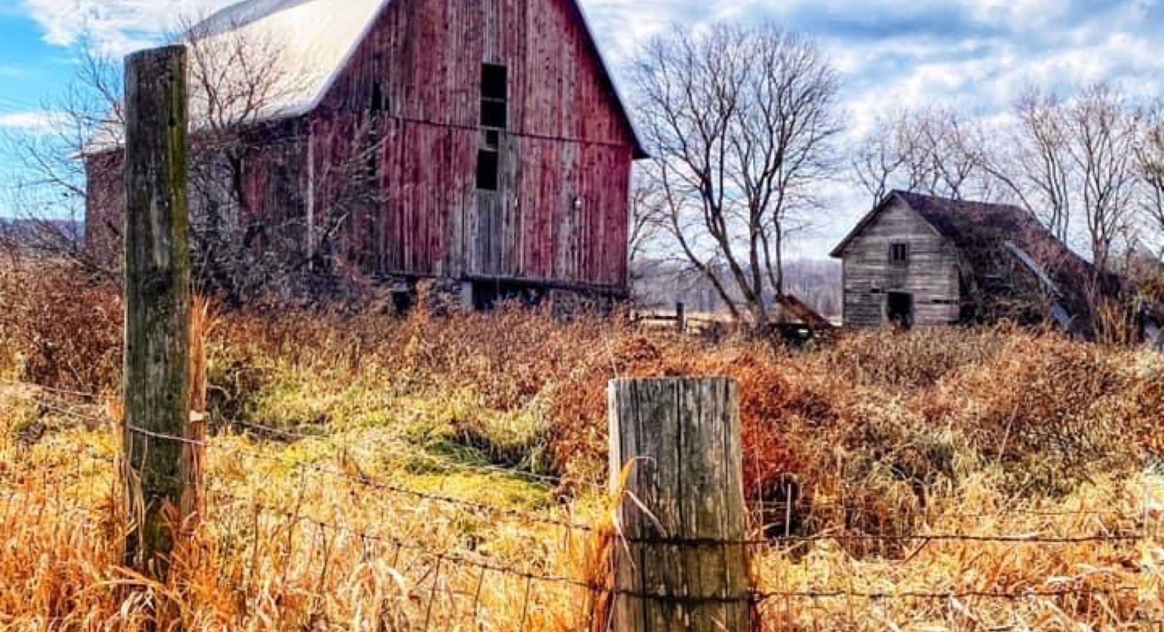 Two old barns on a back road.