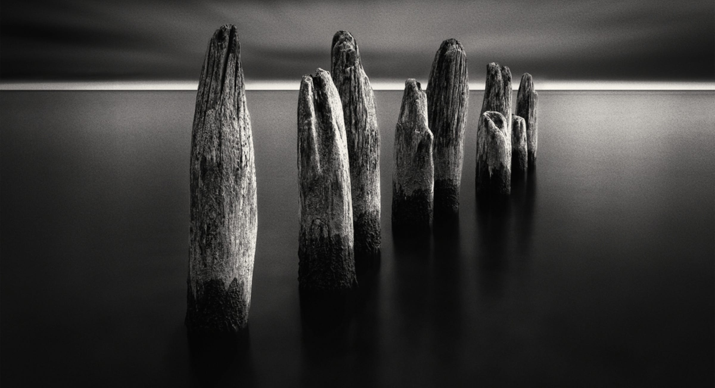 Small stream in Shawano County Stream B&W photo