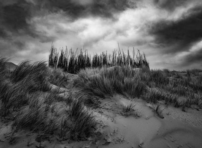 Black and White farm setting, historic farm near Caroline Wi.