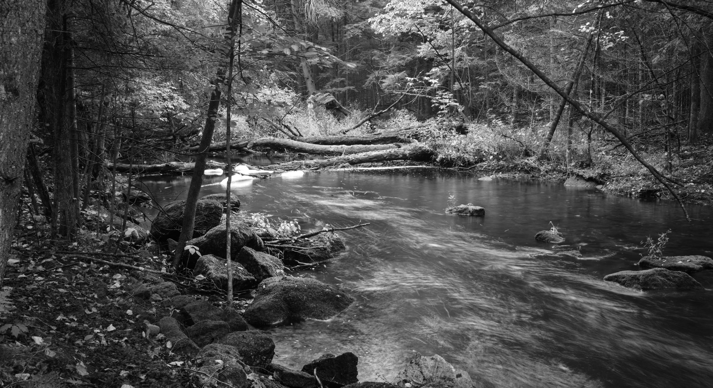 Riverscape on Embarass River