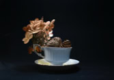 Pine cones and. dried flowers from coffee cup series